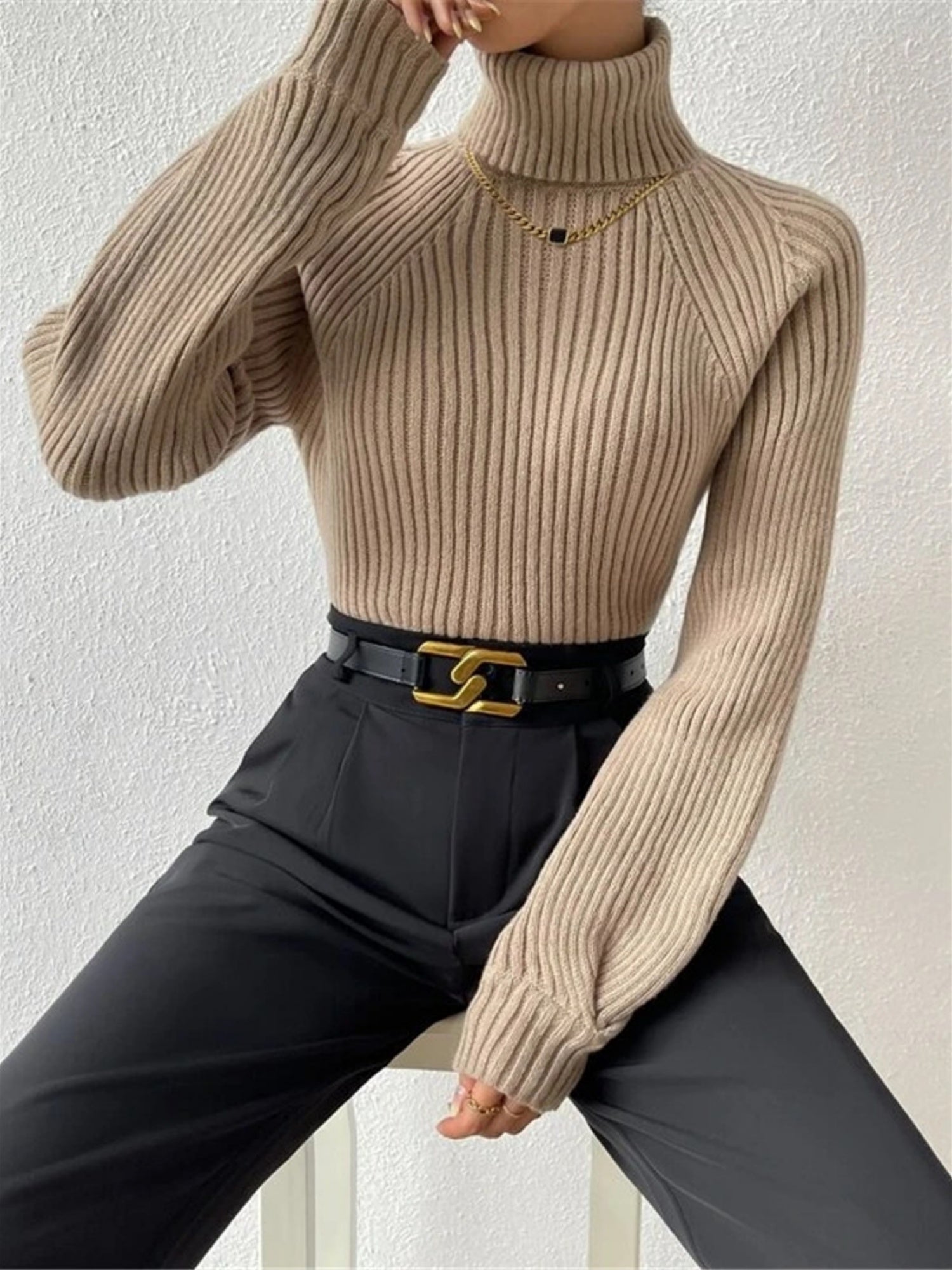 Turtleneck Raglan Sleeves Knitted Pullover Sweater